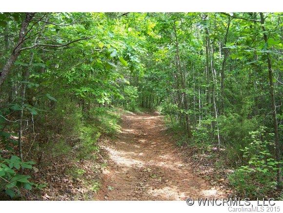 0 Hidden Hill Road Tryon, NC 28782 - Photo 1 of 7 Gallery Image 1