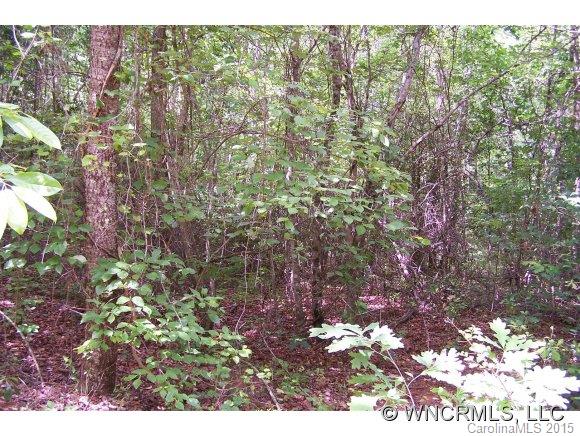 0 Hidden Hill Road Tryon, NC 28782 - Photo 2 of 7 Gallery Image 2