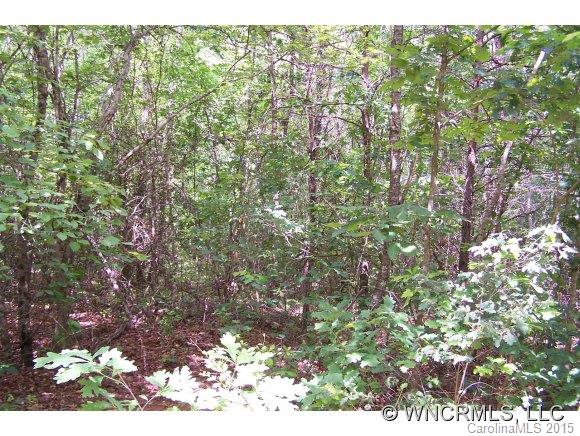 0 Hidden Hill Road Tryon, NC 28782 - Photo 3 of 7 Gallery Image 3