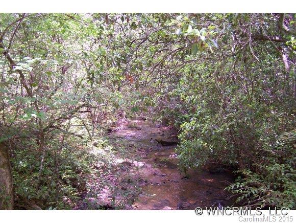 0 Hidden Hill Road Tryon, NC 28782 - Photo 4 of 7 Gallery Image 4