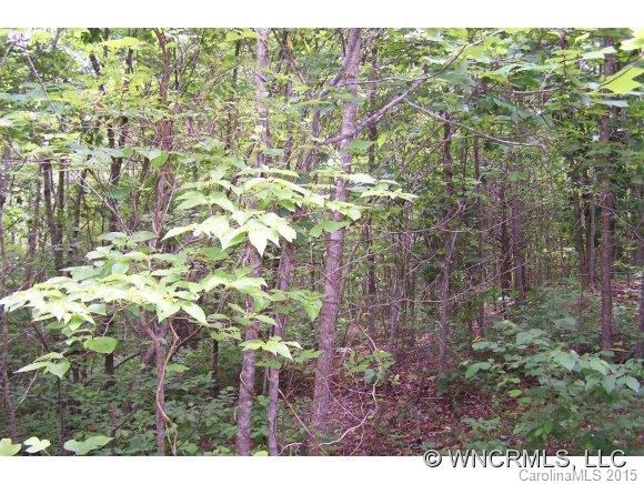 0 Hidden Hill Road Tryon, NC 28782 - Photo 5 of 7 Gallery Image 5