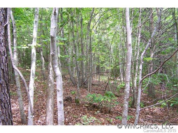 0 Hidden Hill Road Tryon, NC 28782 - Photo 6 of 7 Gallery Image 6