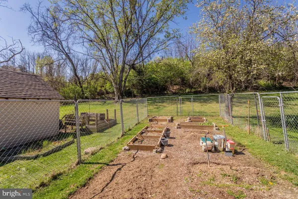 a view of a house with a yard and large tree