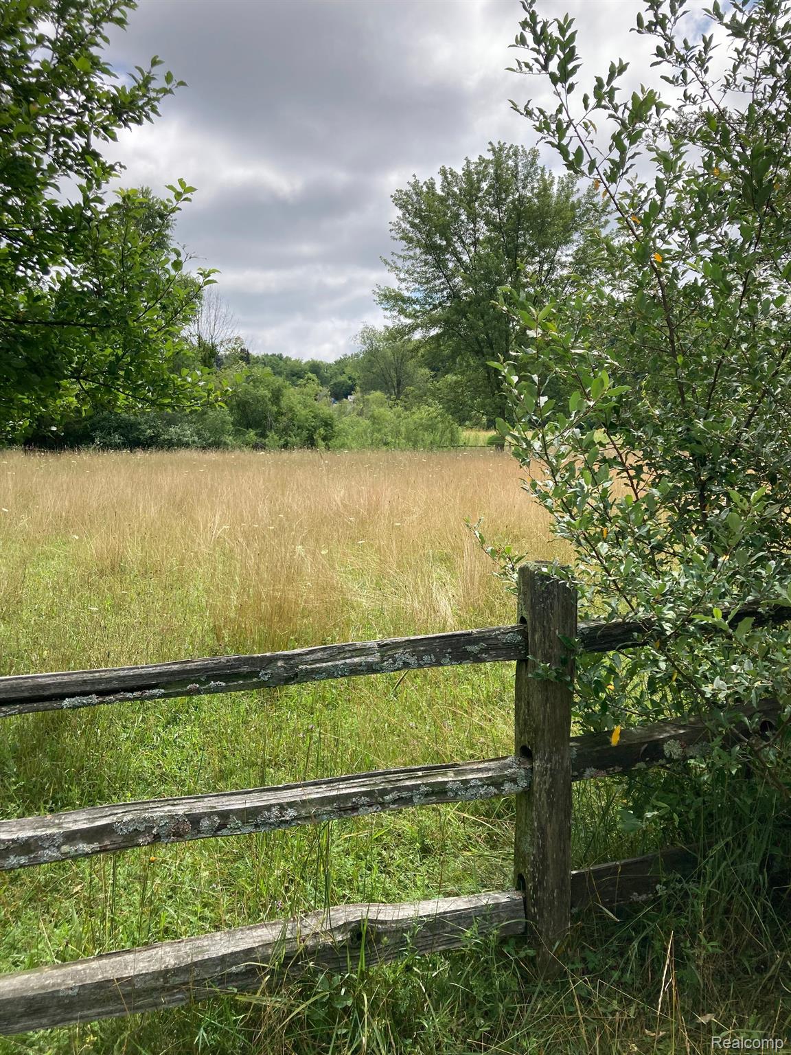 pasture view