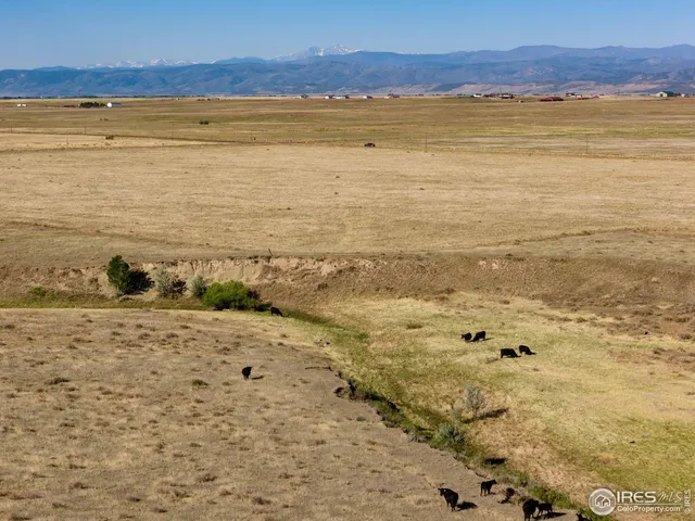 $1,020,000 | 82 Cr Wellington Co 80549, Carr, CO 80612