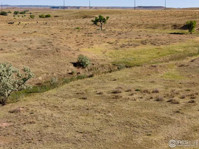 $1,020,000 | 82 Cr Wellington Co 80549, Carr, CO 80612