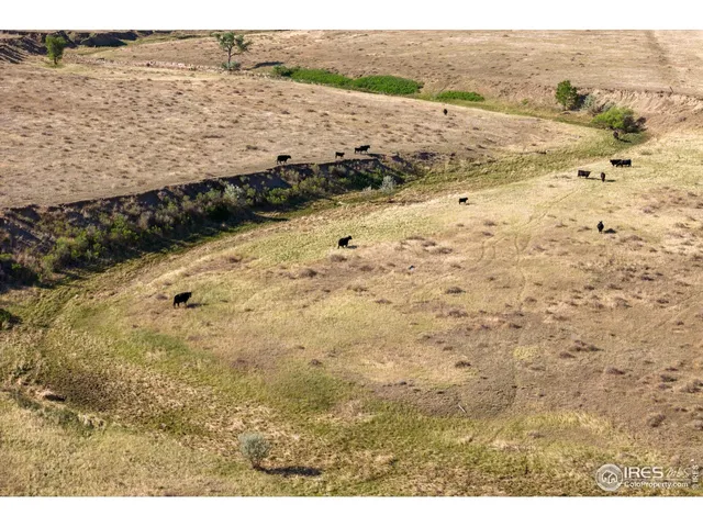 $1,020,000 | 82 Cr Wellington Co 80549, Carr, CO 80612