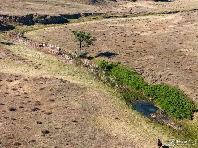 $1,020,000 | 82 Cr Wellington Co 80549, Carr, CO 80612