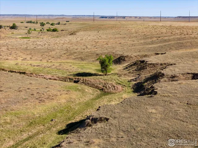 $1,020,000 | 82 Cr Wellington Co 80549, Carr, CO 80612