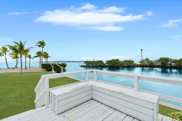 a view of ocean with a palm tree