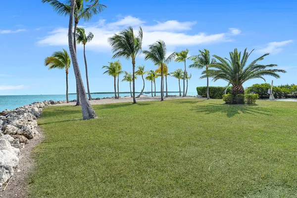 a row of palm trees and a yard with swimming pool