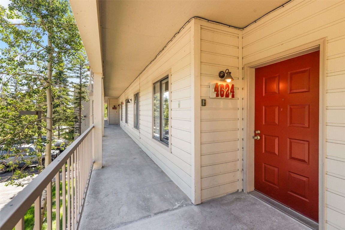 4624 Ryan Gulch Road, Unit 4624 Silverthorne, CO 80498 - Photo 28 of 31 a view of a balcony with a potted plant