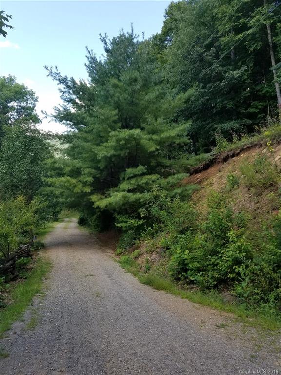 0 Meadows Road Canton, NC 28716 - Photo 1 of 7 a view of a forest with trees in the background