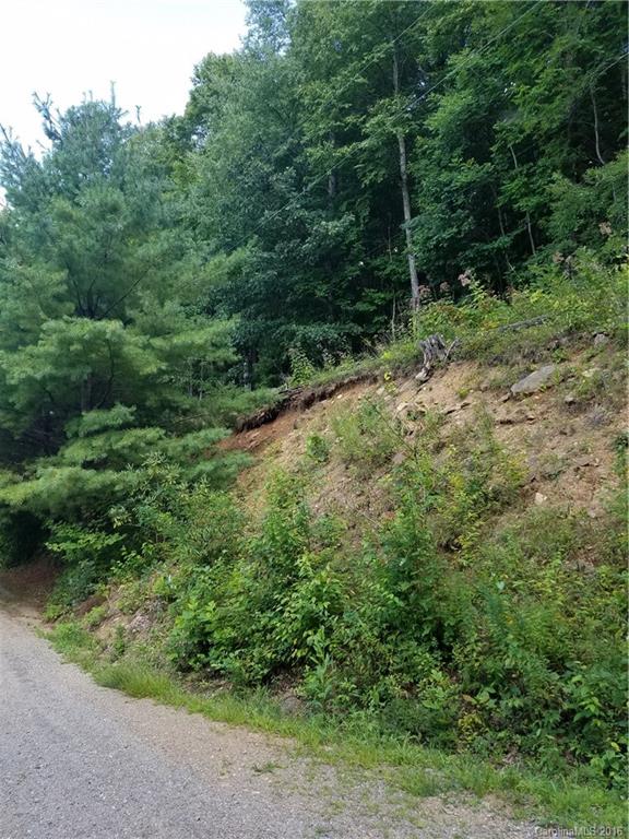 0 Meadows Road Canton, NC 28716 - Photo 3 of 7 a view of a forest with a trees