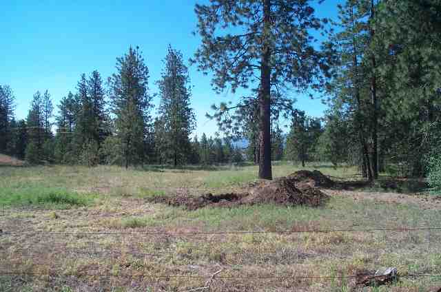 5635 North Fruit Hill Road Spokane, WA 99217 - Photo 1 of 1 Gallery Image 1