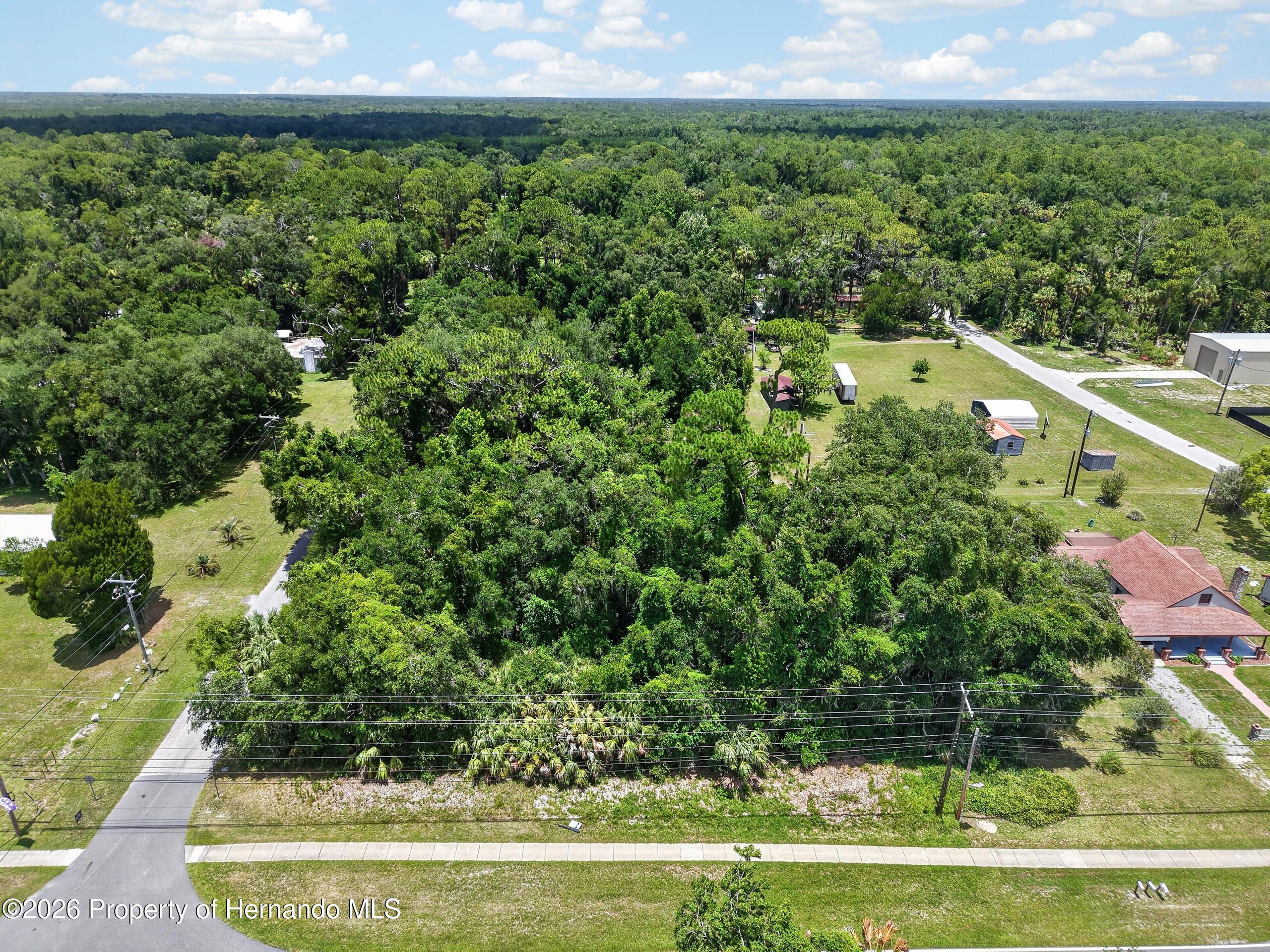 0 Highway 40 West Inglis, FL 34449 - Photo 6 of 8 a view of a garden with a building in the background