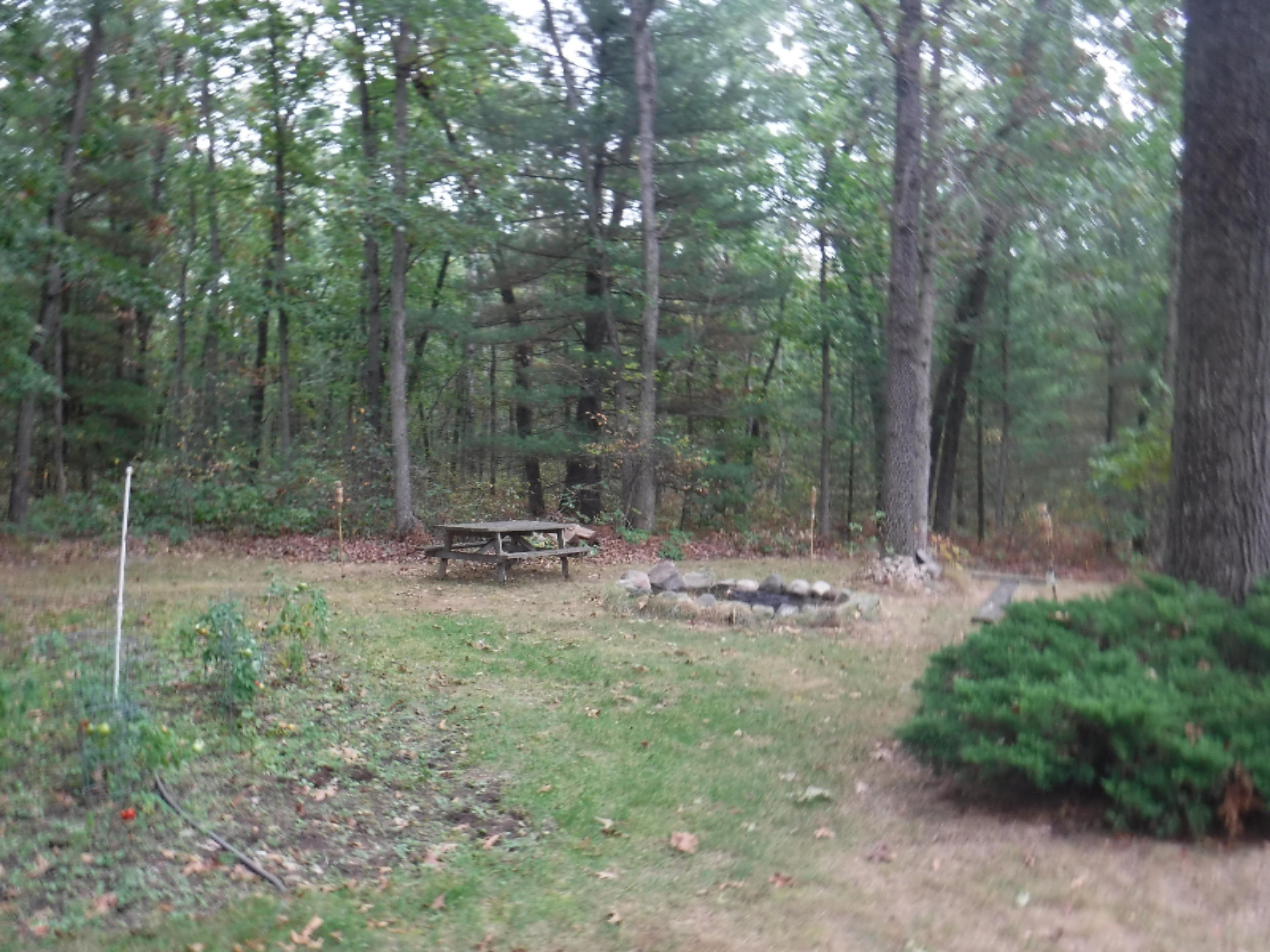 23874 Almy Road Howard City, MI 49329 - Photo 10 of 39 DSCF4027