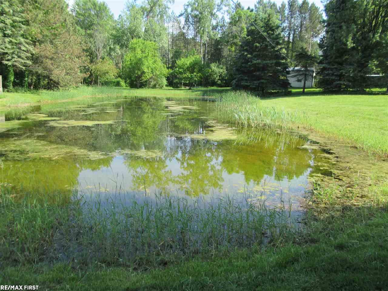 66850 Campground Road Washington, MI 48095 - Photo 39 of 40 31356563-38.JPG