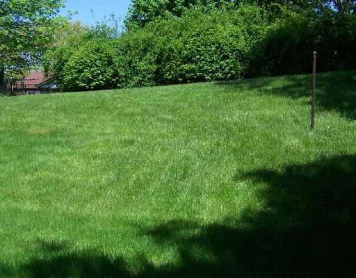 3432 Huntertown Road Allison Park, PA 15101 - Photo 8 of 8 Land/Lot. THIS BACKYARD OFFERS PRIVACY WITH MATURE SHUBERY AND TREES. IT IS ALSO COMPLETELY FENCED IN AND WOULD BE PERFECT FOR CHILDREN OR PETS!
