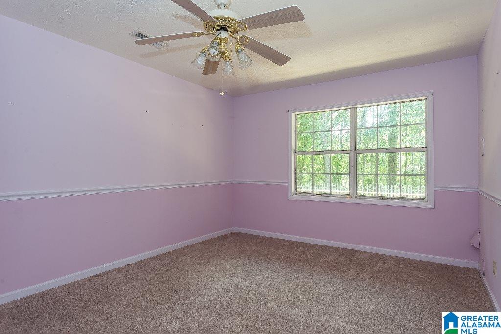 8116 Highway 77 Ohatchee, AL 36271 - Photo 27 of 45