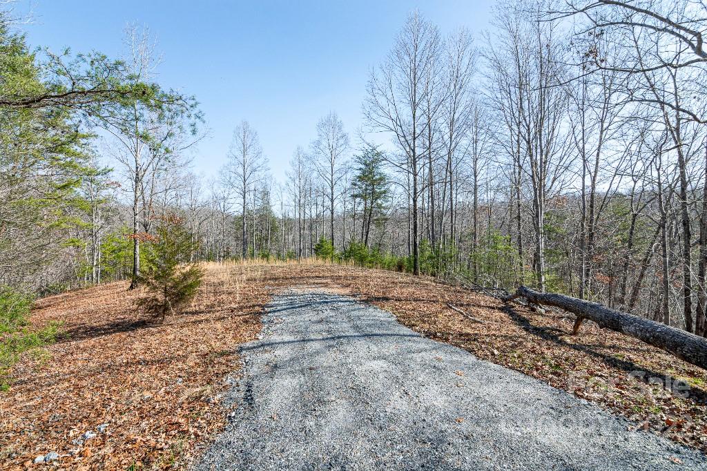 Lot 2 Highland View Ln Mill Spring Mill Spring, NC 28756 - Photo 4 of 23 a view of a yard with trees