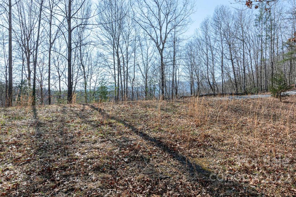 Lot 2 Highland View Ln Mill Spring Mill Spring, NC 28756 - Photo 8 of 23 a big yard with trees