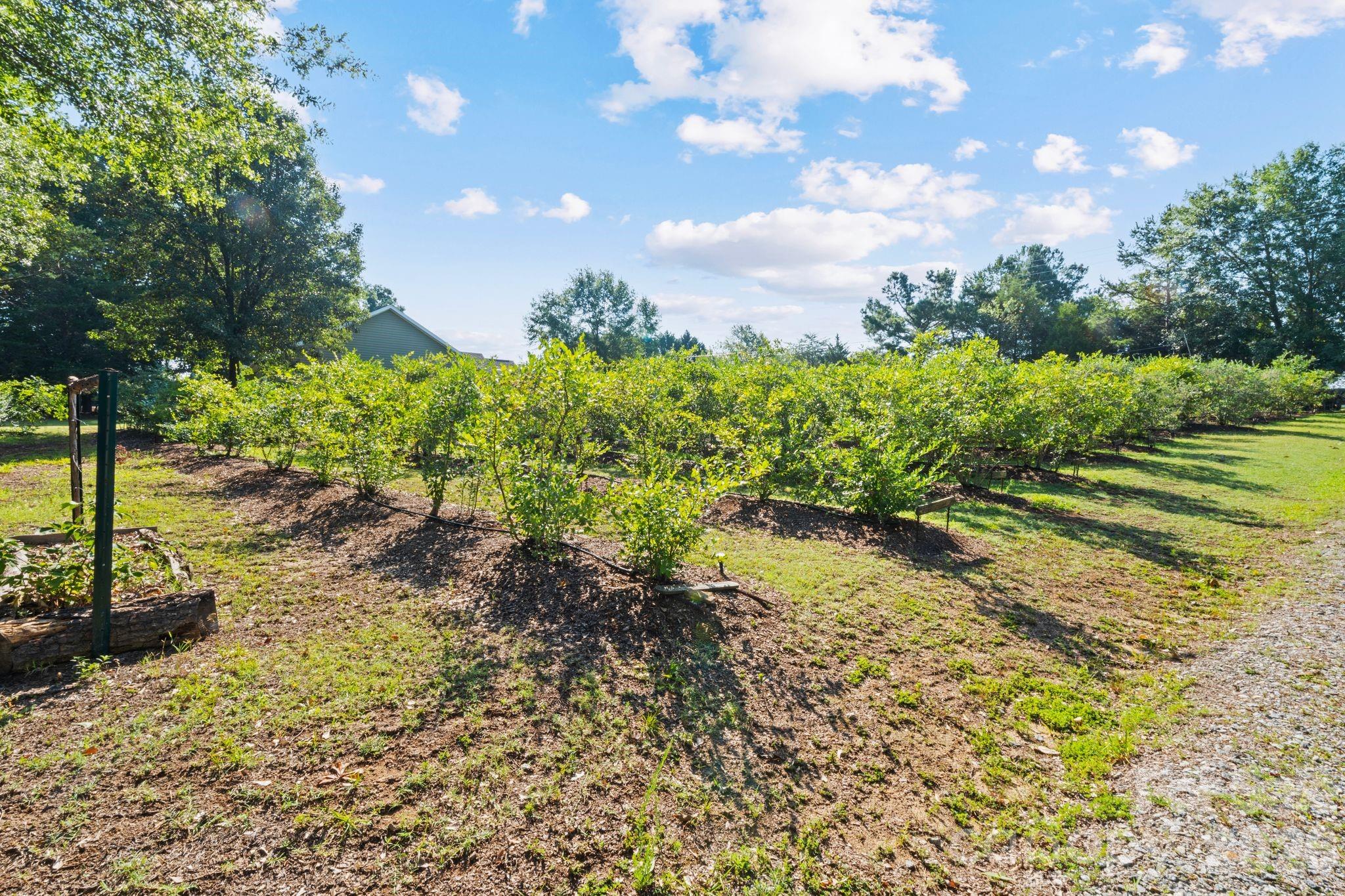 1483 Hopewell Church Road Catawba, NC 28609 - Photo 16 of 47