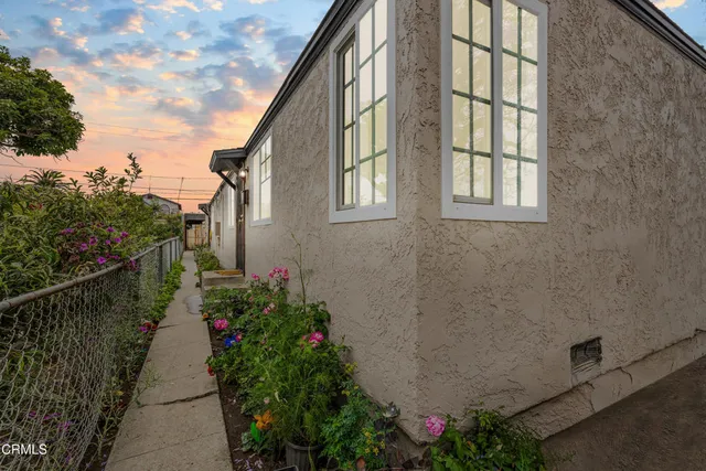 a close up of a potted plant next to a building