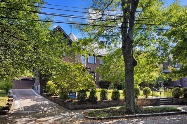 a view of a potted plants in a yard