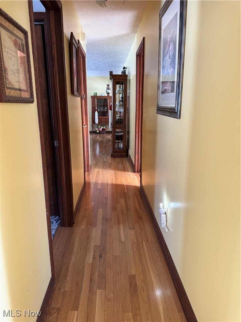 10004 Candy Road Cambridge, OH 43725 - Photo 16 of 20 Corridor with a textured ceiling and wood-type flooring