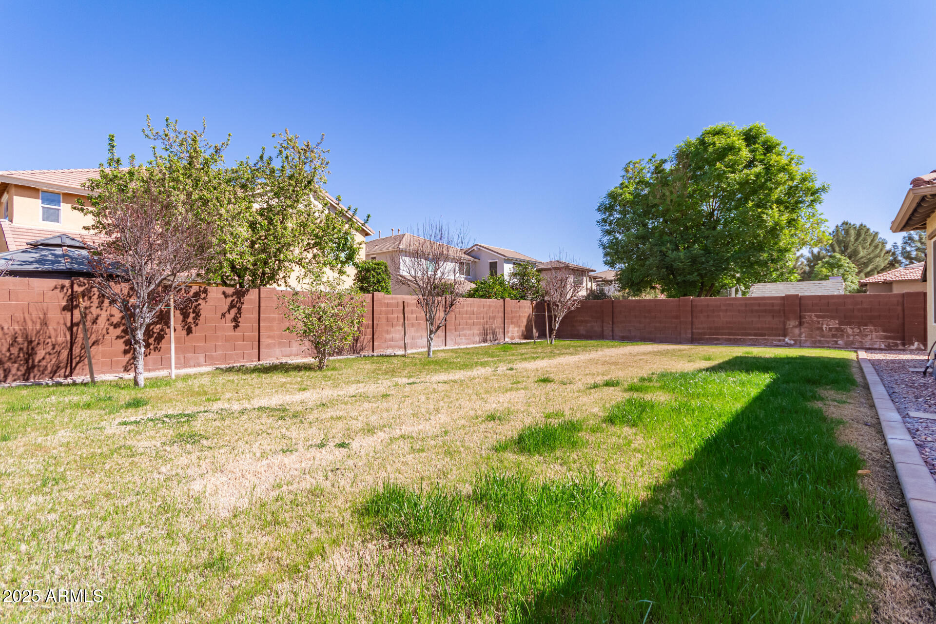 3540 East Morrison Ranch Parkway Gilbert, AZ 85296 - Photo 42 of 42 Backyard