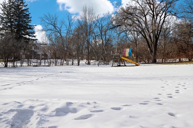 1627 West Baldwin Road Inverness, IL 60067 - Photo 54 of 61