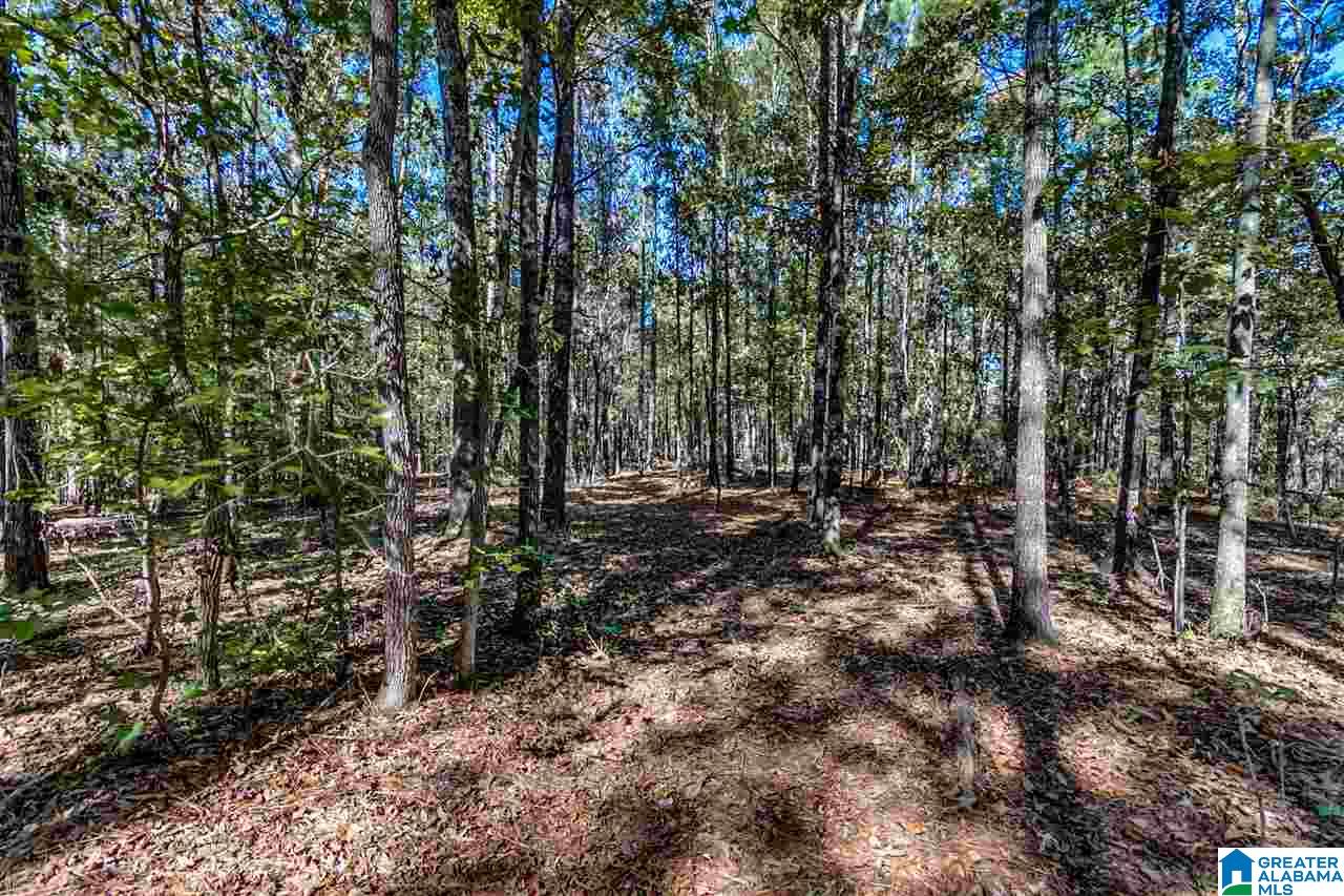 384 Wolf Pond Road, Unit 1 Talladega, AL 35160 - Photo 20 of 26