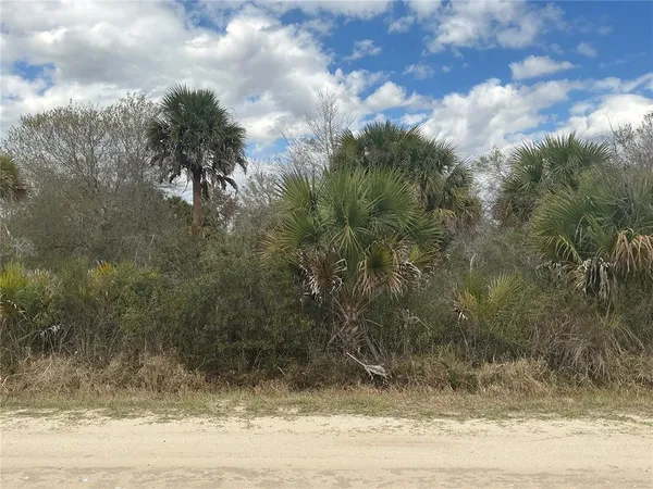 $36,000 | 20639 Northwest 300th Street, Okeechobee, FL 34972