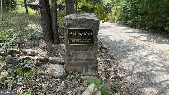 a view of a street sign under a large tree