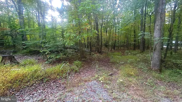 a view of outdoor space and trees