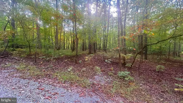 a view of beach and ocean