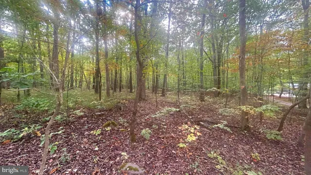 a view of outdoor space and green space
