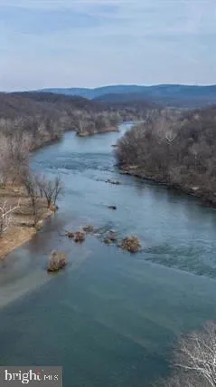 a view of a forest with trees