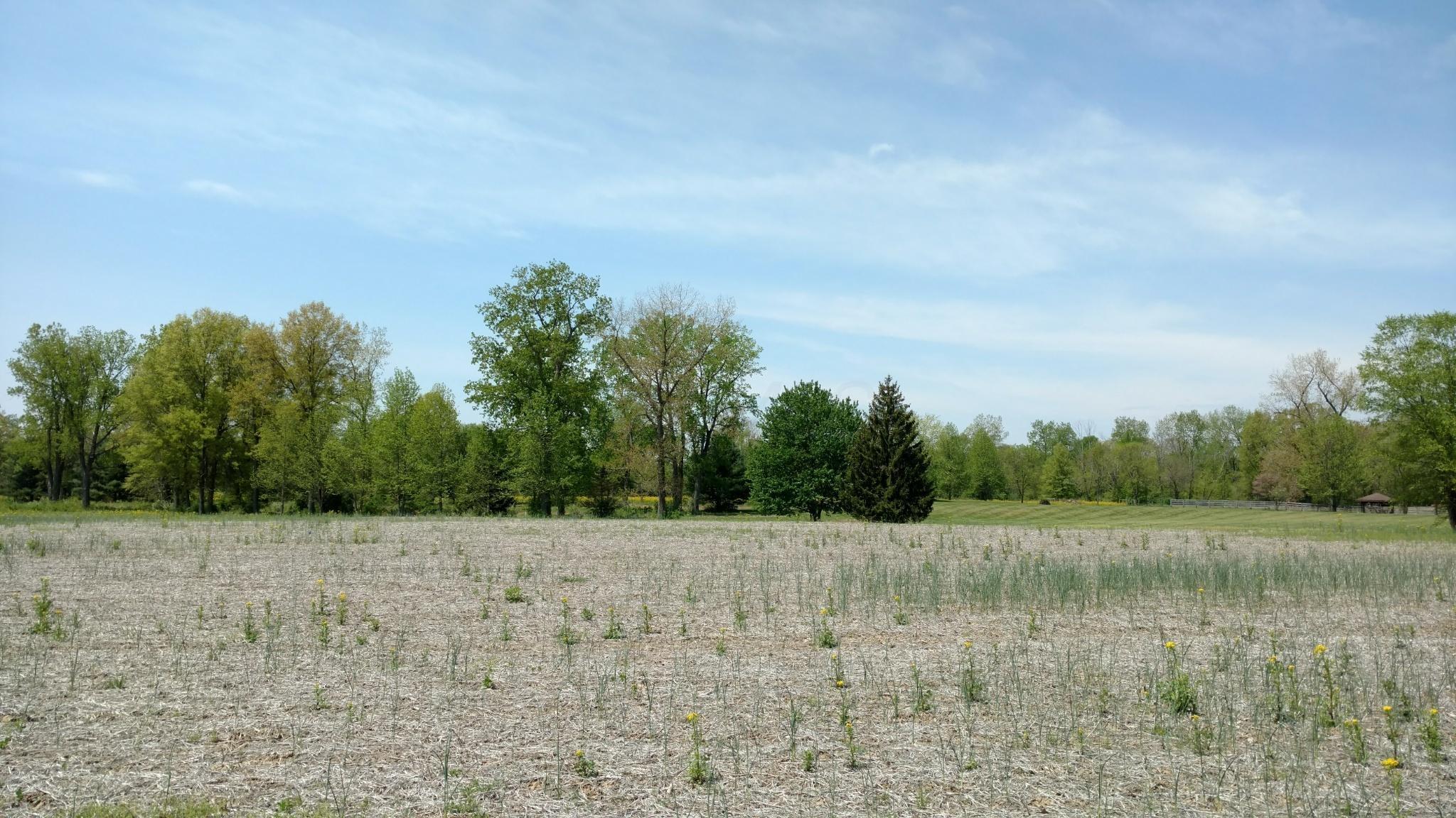 0 Gale Road Southwest, Unit TRACT 1 Hebron, OH 43025 - Photo 4 of 10
