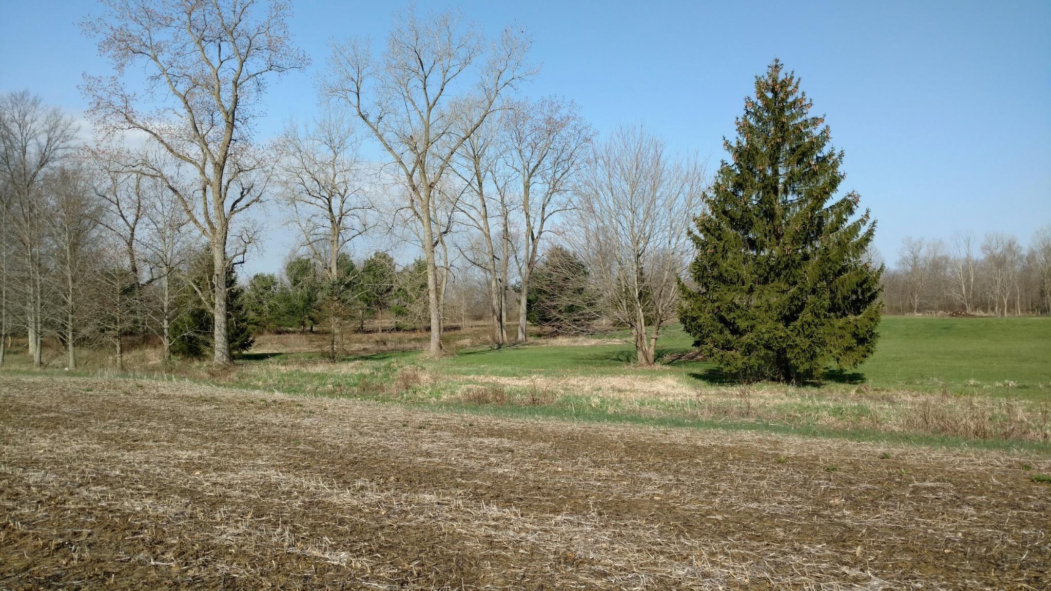 0 Gale Road Southwest, Unit TRACT 1 Hebron, OH 43025 - Photo 9 of 10