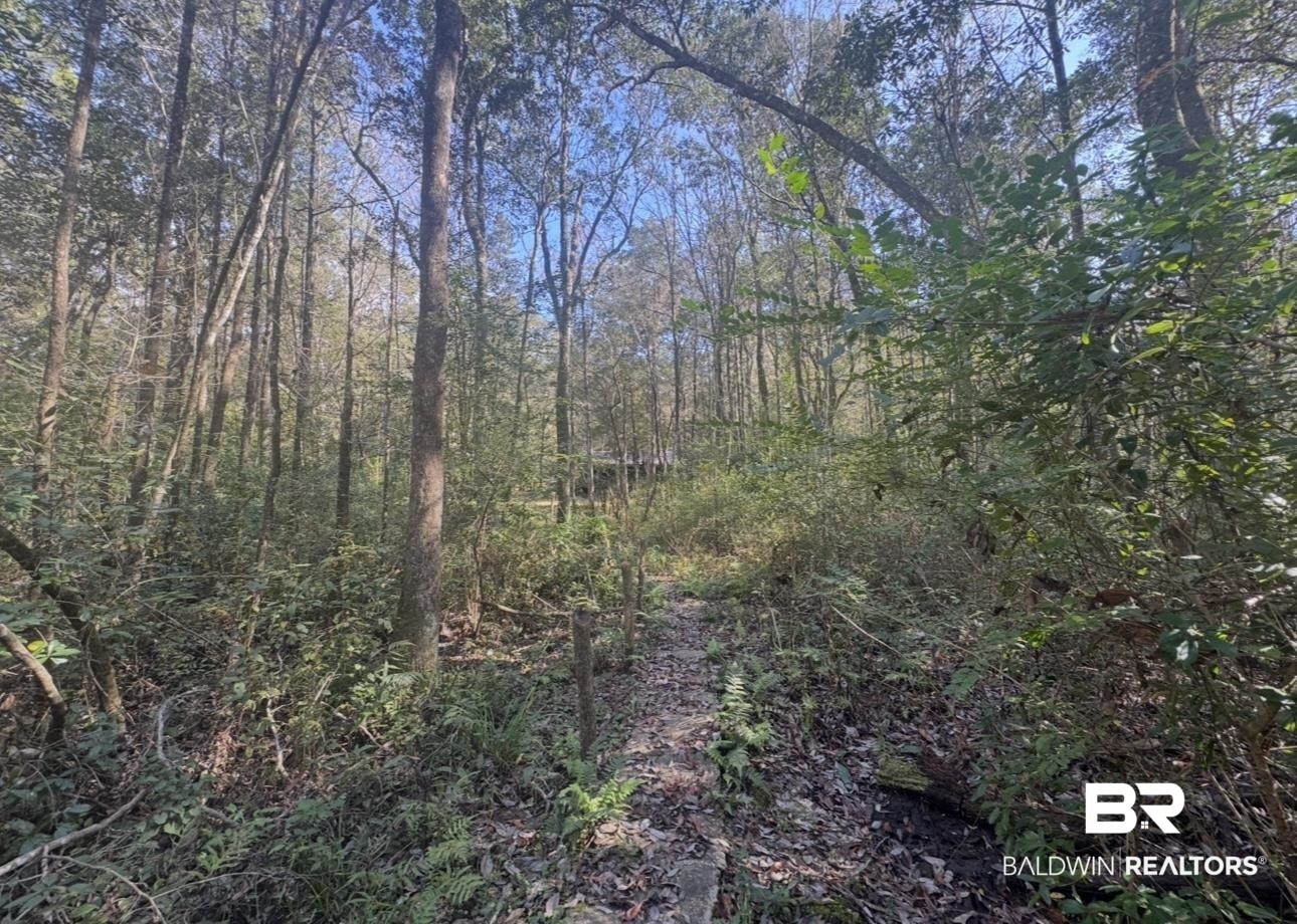 23341 County Road 49 Silverhill, AL 36576 - Photo 15 of 23 View of tree filled area