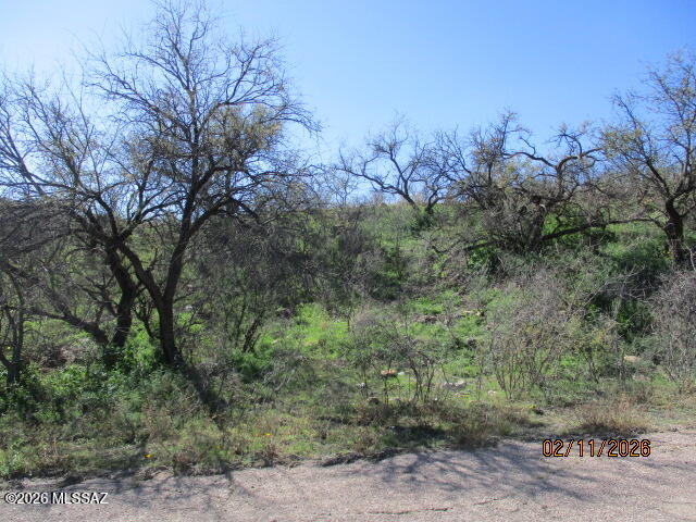 1098 Pinuela Court, Unit 37 Rio Rico, AZ 85648 - Photo 9 of 10 Gallery Image 9