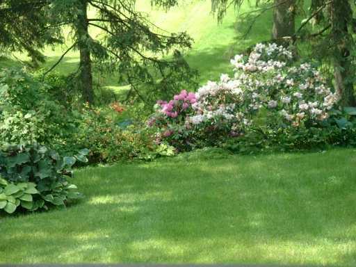 4722 Old Boston Road Whitehall, PA 15227 - Photo 8 of 8 Yard/Garden.