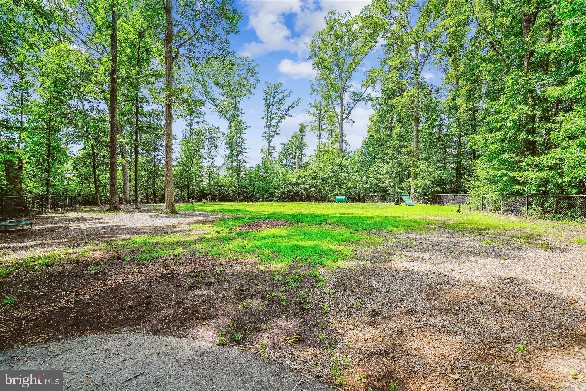 12268 Sedge Street Bristow, VA 20136 - Photo 39 of 48 a view of a park with large trees