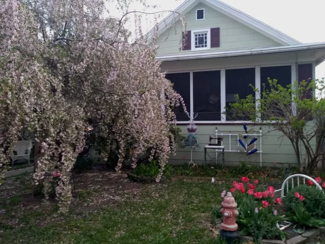 a view of a chair and table in front of house