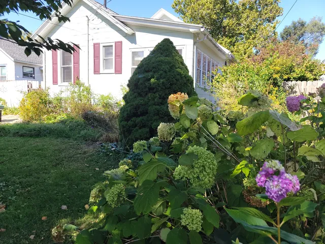 a view of a back yard of the house