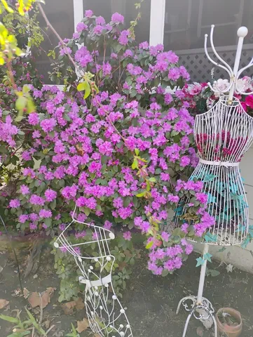 a view of a fountain in front of a house