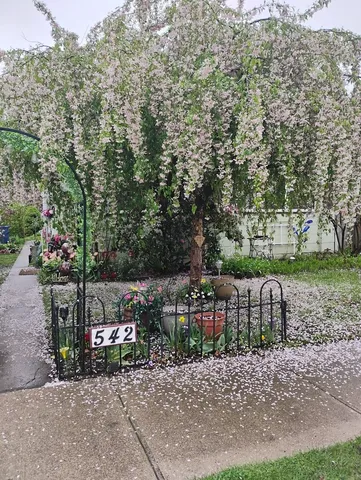 $125,100 | 542 8th Street, LaSalle, IL 61301