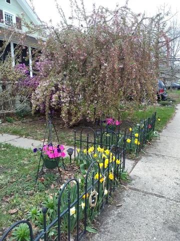 $125,100 | 542 8th Street, LaSalle, IL 61301